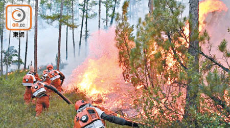 一旦發生火警，過於連綿的樹林或會增加火勢及蔓延速度。