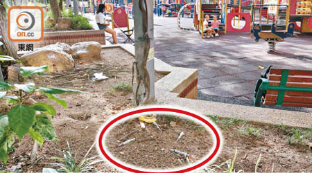 西貢街遊樂場花槽發現不少毒針筒（紅圈示）。（郭垂垂攝）