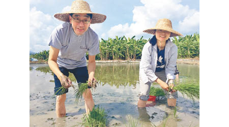 高永文（左）借插秧吸引禾花雀外，仲呼籲要保育鄉郊同支持本地農業。（互聯網圖片）