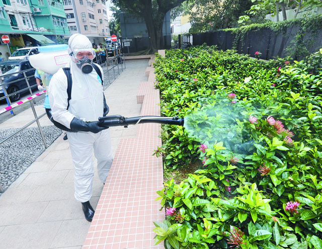 本土登革熱大爆發