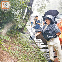 獅子山公園<br>食環署人員在獅子山公園撒下大量蚊沙。