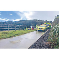 意外發生於新西蘭奧克蘭一條私家路上。（互聯網圖片）
