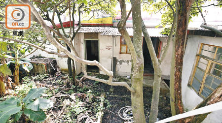 龍仔村有荒廢民房，居民指該處蚊患嚴重。