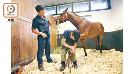 Rocky (右）及Bryan (左）與馬匹有如親密戰友，全年無休為牠們鑄造馬蹄鐵。（朱先儒攝）