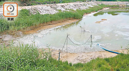堆填區疑有污水滲漏到下白泥村多個魚塘，導致大量魚蝦死亡，養魚戶損失慘重。