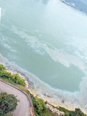 馬灣東灣泳灘對開海面出現大範圍油污。（馬灣居民Judy Lo圖片）