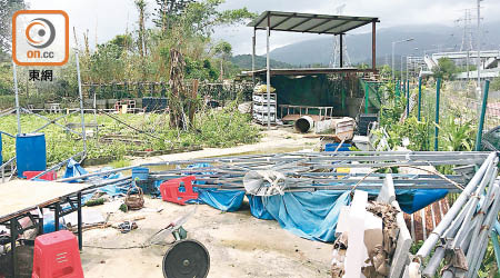薛先生的農莊受到颱風嚴重破壞。（讀者提供）