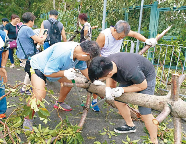 等政府 蛇都死 不如靠自己