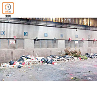 沙田<br>沙田廢物轉運站內垃圾遍地。（受訪者提供）