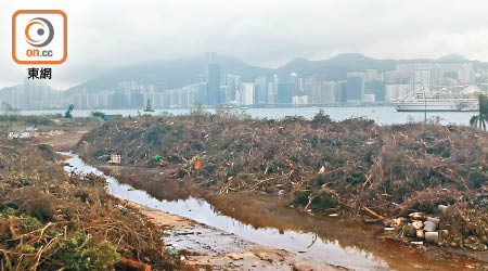 啟德<br>啟德臨時堆樹區一個已爆滿，另一個亦堆放了一半，幾日內將爆棚。（受訪者提供）