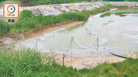 新界西堆填區有污水滲漏，令下白泥村有魚塘魚類大量死亡。
