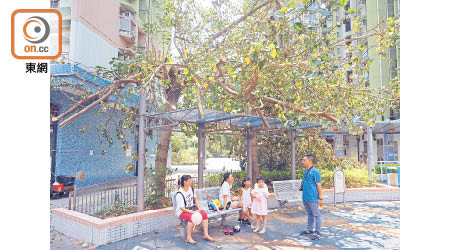 元州邨<br>居民危機意識薄弱，有家長偕小孩於斷枝下休息。