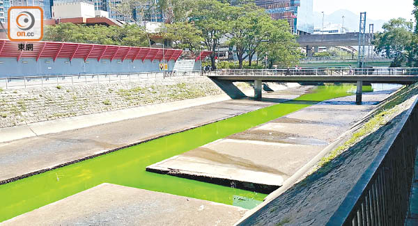 城門河驚現螢光綠 東方日報