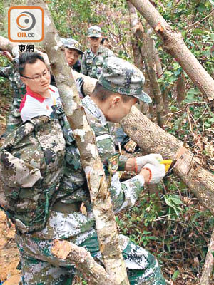 駐港部隊昨到郊野公園，參與風災後清理工作。（區議員林德成提供）