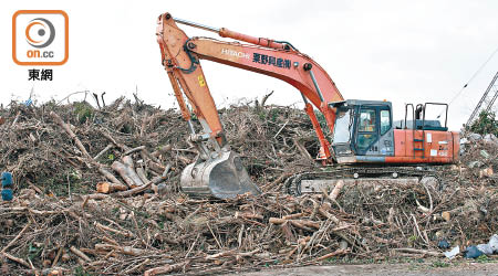 啟德<br>啟德發展區設立臨時木料廢物收集處，惟不足一個月已接近飽和。
