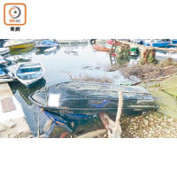 颱風吹襲過後，西貢水域有近二百艘船隻被摧毀。