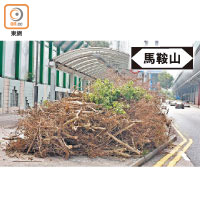 恆安邨附近的行人隧道旁，堆放了超過一米高的枯枝。