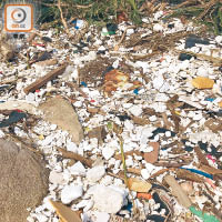 食環署時間表要求外判清潔員須於七月底前完成清理垃圾灣，但至十月中，灘面一帶仍有許多垃圾。（受訪者提供）