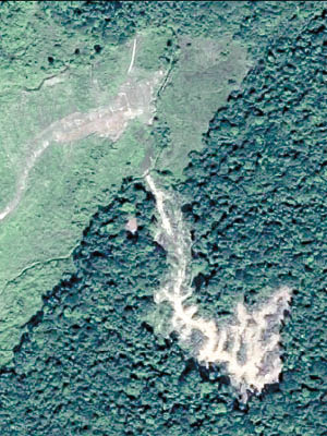 黃竹洋今年一月再被發現有近一公頃次生林被砍伐，當中包括政府土地。（互聯網圖片）