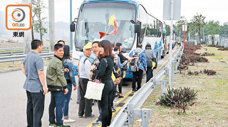 大批內地團客要在欣澳馬路邊上落旅巴。（高嘉業攝）