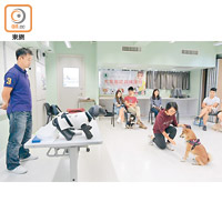 漁護署有舉辦犬隻服從訓練課程。