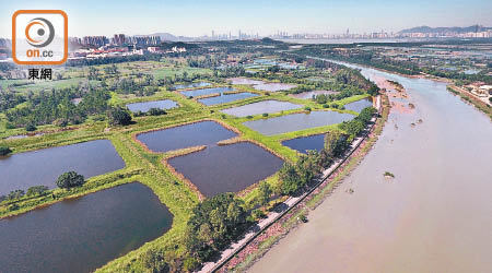 從高空俯瞰南生圍，仍然可以看見一個個毗連的魚塘和基圍。