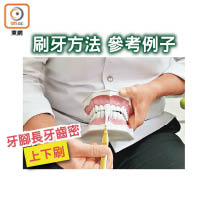 牙腳長牙齒密上下刷<br>牙腳較長及牙齒較密者，可試這樣手執牙刷，再上下刷門牙位置。