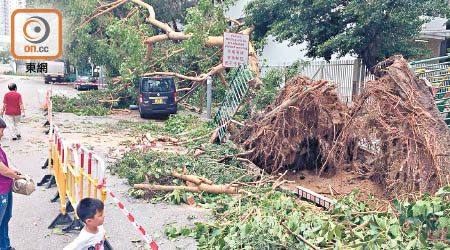 山竹為歷年第二最高平均風速的颱風，造成大量樹木倒塌。