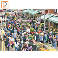 旺角花墟人頭湧湧，買年花的市民逼爆行人路。（吳艶玲攝）