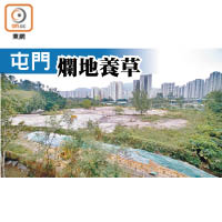 天后路以南兩幅土地去年突然被改變用途興建公營房屋，原定興建的體育設施則被「走數」。