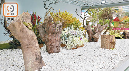 花卉展覽將颱風「山竹」吹倒的塌樹製成家具、園藝擺設。