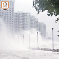 強颱風「山竹」去年吹襲本港，對多區造成廣泛破壞。
