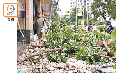 去年超強颱風山竹對香港造成重大破壞。