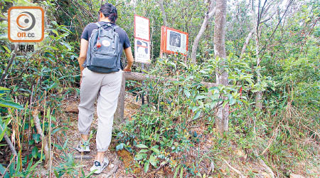 八仙嶺<br>往仙姑峰的山徑邊豎立多個警告牌，惟來往的行山客鮮有留意。