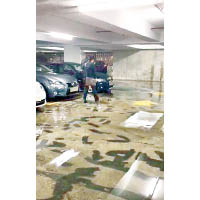 《傳真社》報道指二期平台防水工程完工後，地下停車場仍有漏水情況。（《傳真社》圖片）