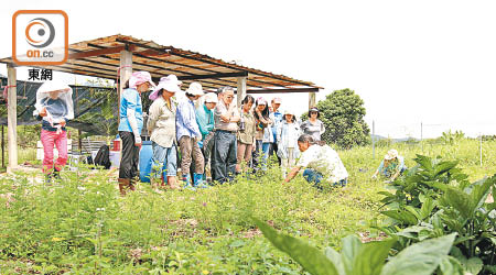 訪問當日，田內正舉行第二期的原生植物課程。
