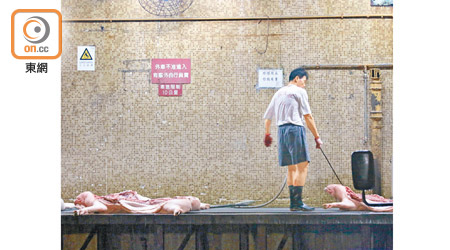 荃灣屠房昨日繼續運作供應市場鮮豬肉。（梁穎福攝）