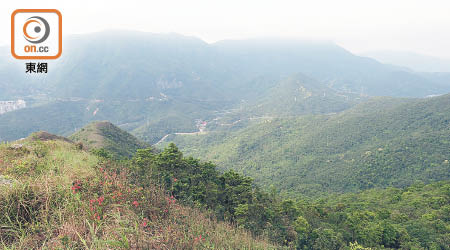 紅花嶺有望成為香港第廿五個郊野公園。