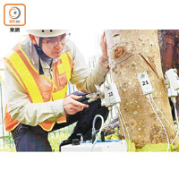 檢查人員必要時用聲納儀探測樹木內部情況。