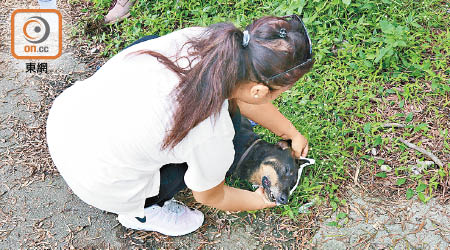 有同行女子替身亡的唐狗清潔。（林耀康攝）