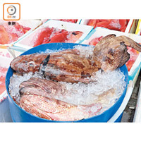 檢獲的貴價冰鮮魚，包括東星斑及石頭魚。