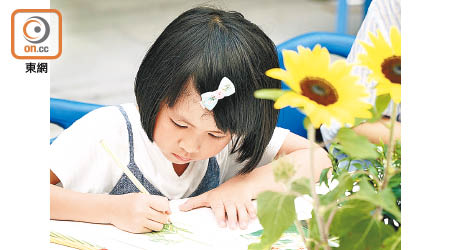 導師教導參加者透過多角度觀察，將眼前的植物展現在畫紙上。