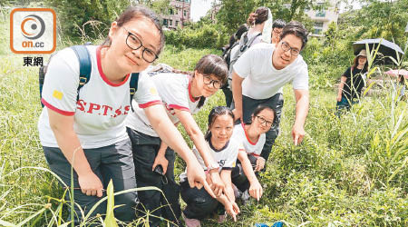 香港神託會培敦中學多名師生參與放流螢火蟲幼蟲活動。
