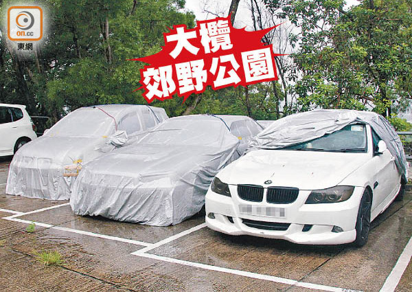 大棠山道免費停車場，其中有三輛私家車車身以車冚覆蓋。