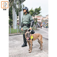 身穿防暴裝備的警員帶同警犬執勤。