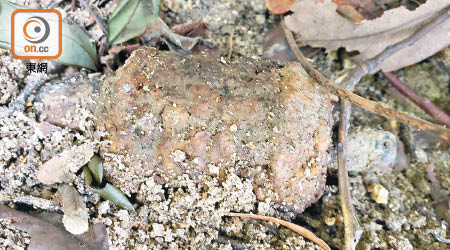 在布力徑發現的二戰日軍手榴彈。