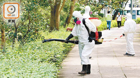 食環署職員多次進行滅蚊行動。