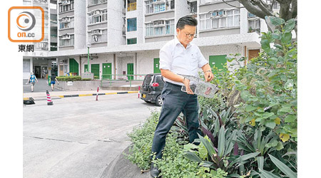 花槽距離垃圾收集站僅數步之遙，物業管理公司曾填補鼠洞，卻未能令老鼠絕迹。