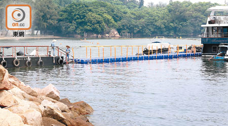 屯門青山灣泳灘附近早前驚現一條目測逾廿米長的海上浮橋。