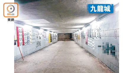 連接龍崗道及世運花園的行人隧道被噴漆。（楊日權攝）